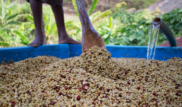 EL SECRETO DE LOS CAFÉS DE KENIA