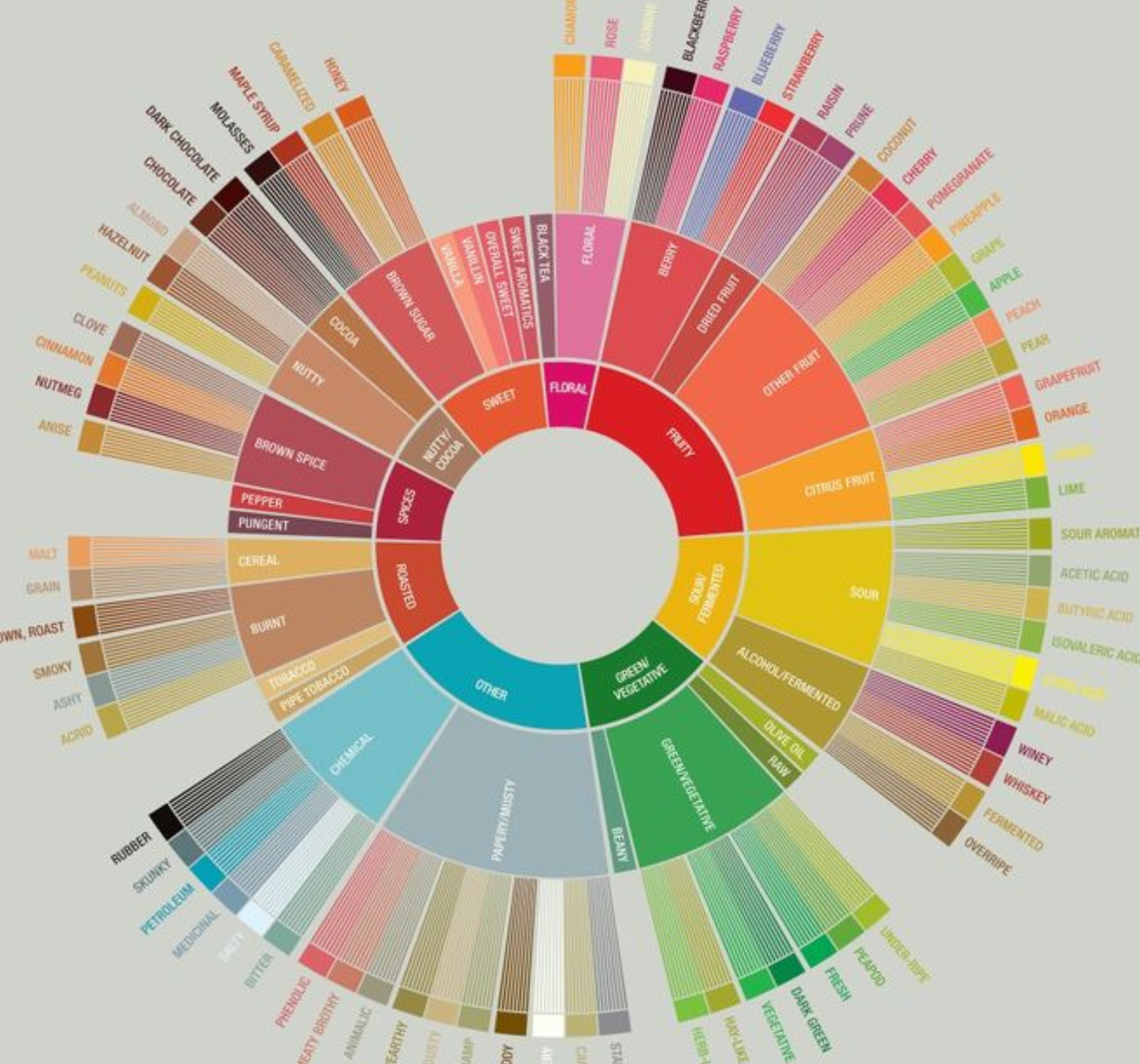 Cómo usar la rueda de sabores del café de especialidad (sin volverte loco)