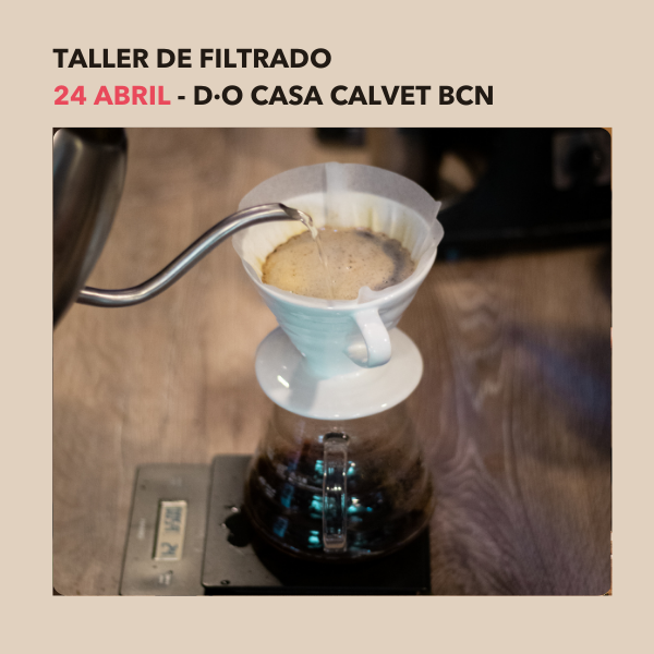 TALLER DE FILTRADO - D·Origen Coffee Roasters