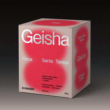GEISHA SANTA TERESA