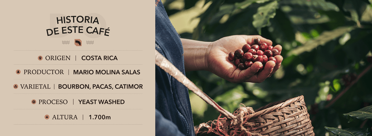 SOBRE LA FINCA