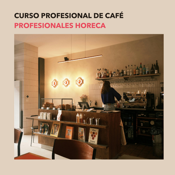 CURSO PROFESIONALES DEL SECTOR
