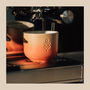 TAZA LATTE D·O 300 ml